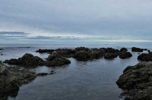 OWHIRO-BAY (20)